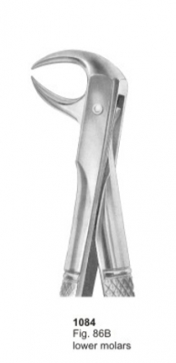  Fig. 86B lower molars 